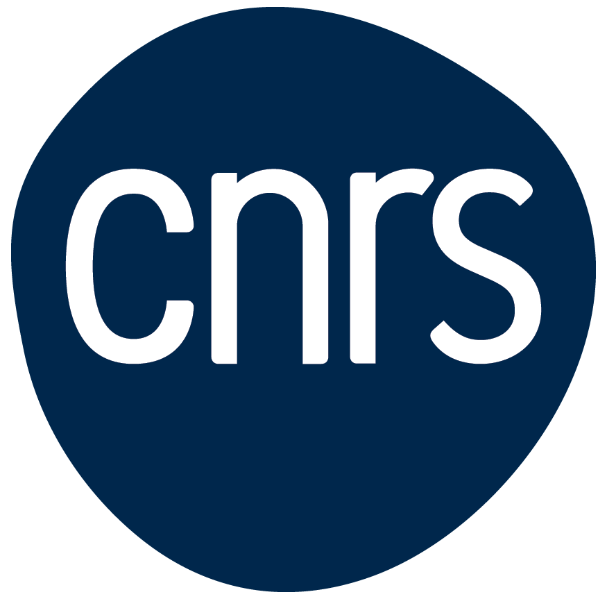 Questionnaire de prospective de CNRS Sciences informatiques